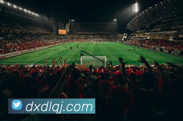 奖项证书